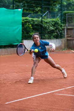 Bild 565 - BL Club an der Alster - THC von Horn und Hamm : Ergebnis: 9:0